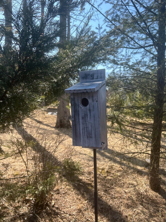 Bluebird Nesting Box